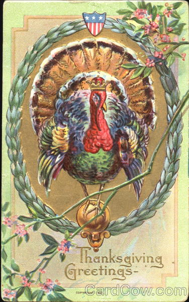 Volunteer on thanksgiving in tucson