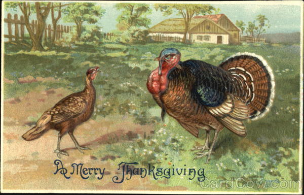 A Merry Thanksgiving Turkeys