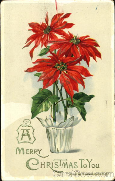 A Merry Christmas To You