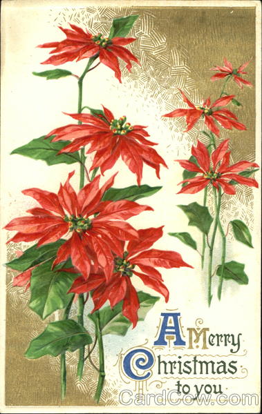 A Merry Christmas To You