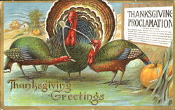 Thanksgiving Greetings Postcard