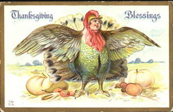 Thanksgiving Blessings Postcard