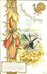 Thanksgiving Greeting Postcard