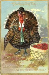 Thanksgiving Day Postcard