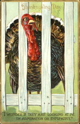 Thanksgiving Day Postcard