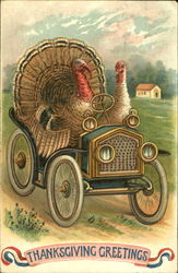Thanksgiving Greetings Postcard