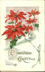 Christmas Greetings Postcard