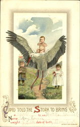 Cupid Told The Stork To Bring Babies Postcard Postcard