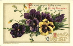 Birthday Greetings Postcard