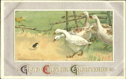 Glad Easter Greetings Postcard