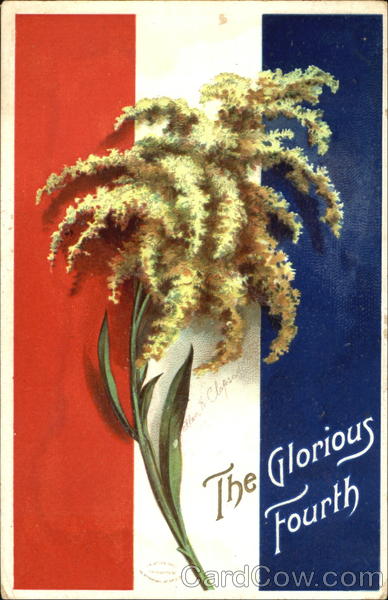 The Glorious Fourth Ellen Clapsaddle 4th of July