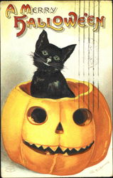 A Merry Halloween Postcard Postcard