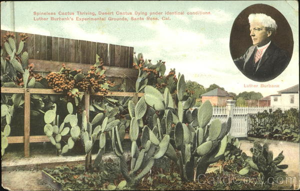 Luther Burbank Santa Rosa California