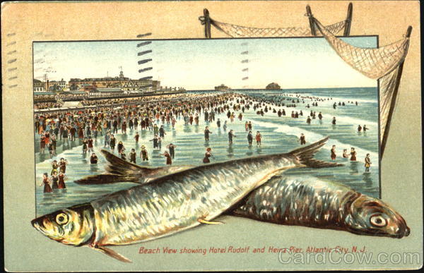 Beach View Showing Hotel Rudolf And Heinz Pier Atlantic City New Jersey