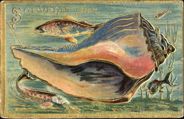 Souvenir From Seashells