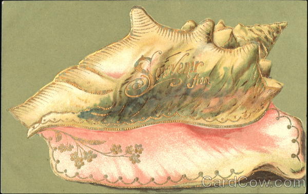Souvenir From Seashells