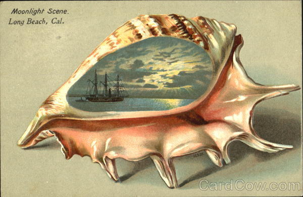 Moonlight Scene Long Beach California