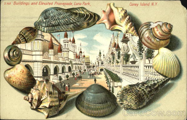 Buildings And Elevated Promenade, Luna Park Coney Island New York