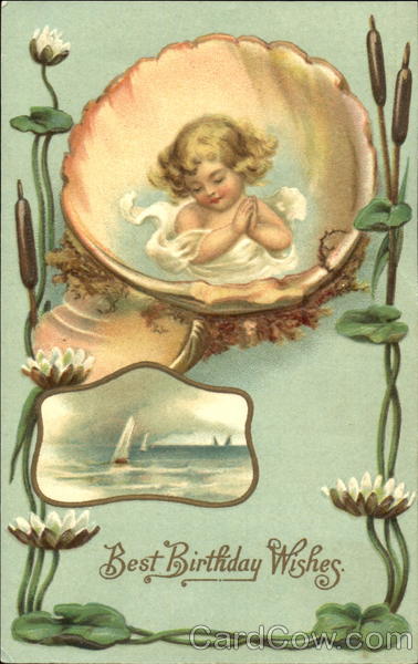 Best Birthday Wishes Seashells