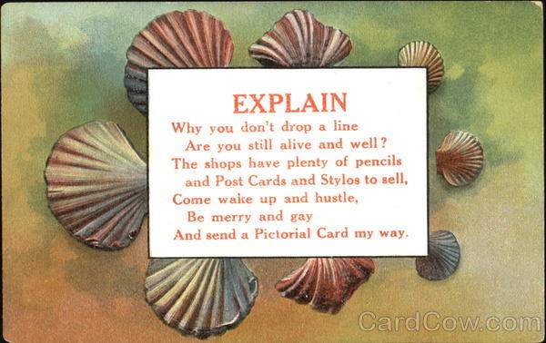 Explain Seashells