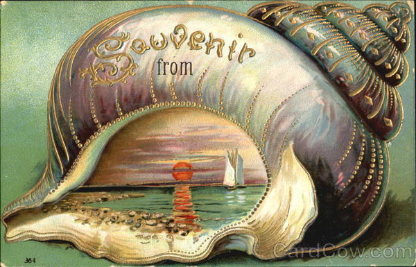 Souvenir From Seashells