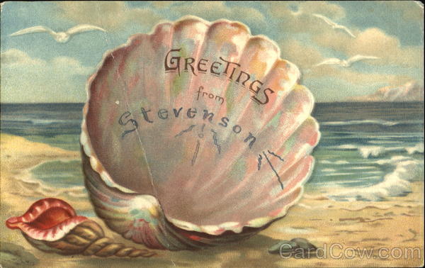 Greetings From Stevenson Seashells
