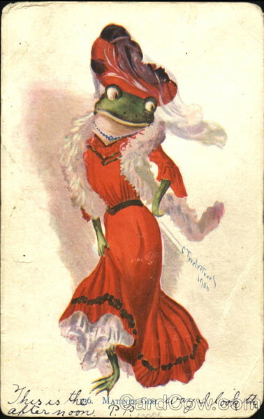 Matinee Girl Frogs