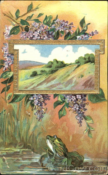 Painting Over Frog Frogs