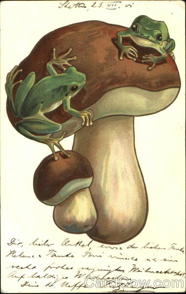 Frogs on Mushrooms