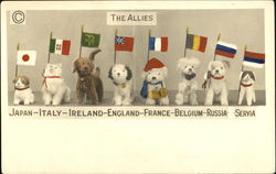 The Allies Dogs Postcard Postcard