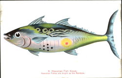 Hawaiian Fish Kawa Postcard Postcard