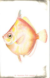 Hawaiian Fish Laipala Postcard Postcard