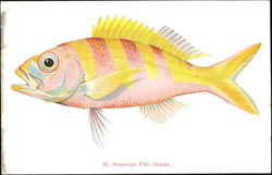 Hawaiian Fish Ulaula Postcard Postcard