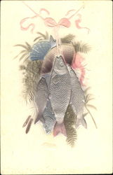 Lovely Hanging Fish Postcard
