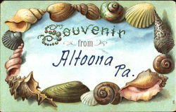 Souvenir From Altoona Pennsylvania Postcard Postcard