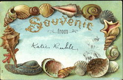 Souvenir From Postcard