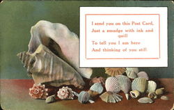 Seashell Memories Postcard