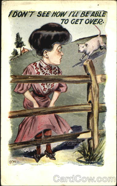 I Don't See How I'll Be Able To Get Over Comic, Funny