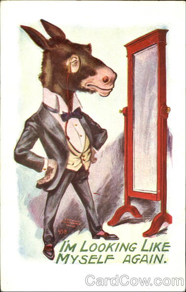 I'm Looking Like Myself Again Donkeys