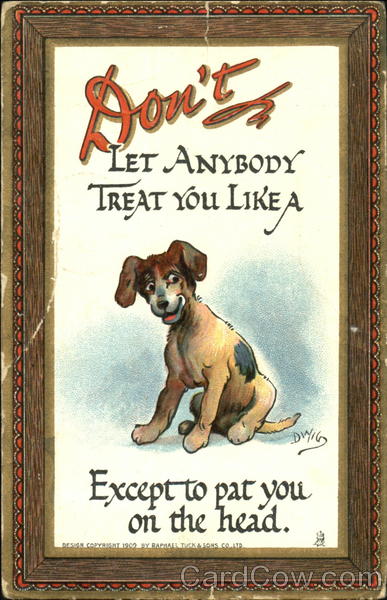 Don't Let Anybody Treat You Like A Dog DWIG