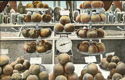 Oregon Apples Postcard