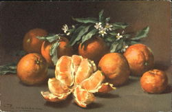 Oranges with leaves Postcard