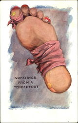 Greetings From A Tenderfoot Comic, Funny Postcard Postcard