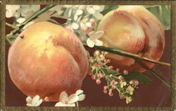 Peaches with blossoms Postcard