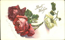Best Wishes Postcard