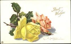 Best Wishes Postcard