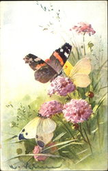Butterflies on flowers Postcard