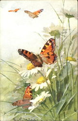 Painting of BUtterflies Postcard