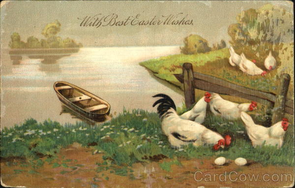 Hens by Lake With Chicks