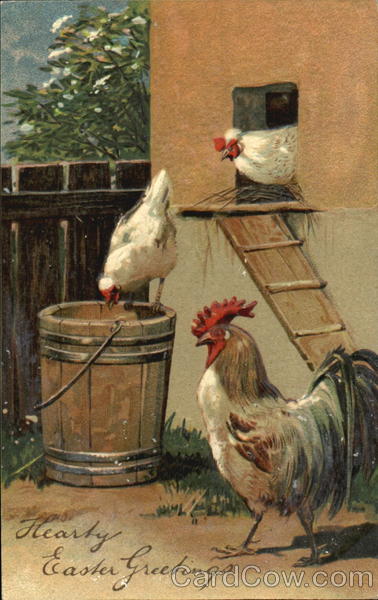 Rooster with Hens With Chicks